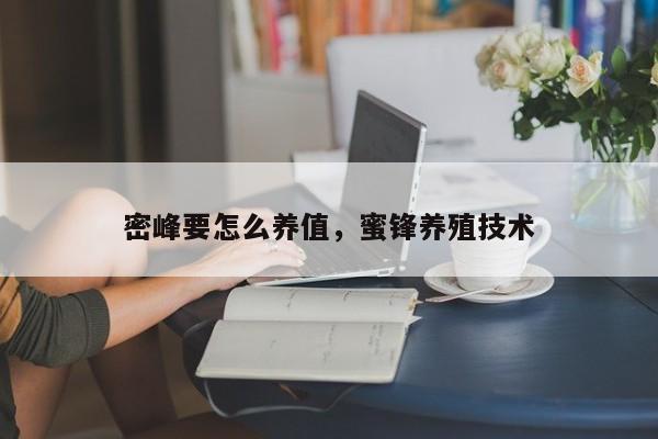 密峰要怎么养值，蜜锋养殖技术