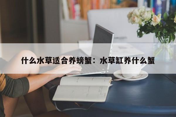 什么水草适合养螃蟹：水草缸养什么蟹