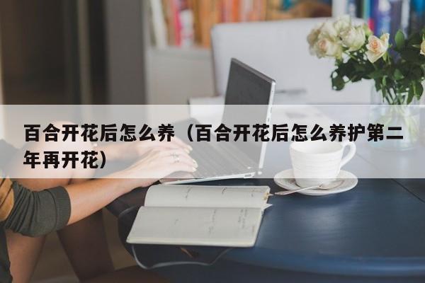 百合开花后怎么养（百合开花后怎么养护第二年再开花）