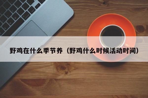 野鸡在什么季节养（野鸡什么时候活动时间）