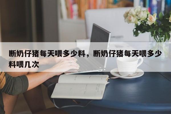 断奶仔猪每天喂多少料，断奶仔猪每天喂多少料喂几次