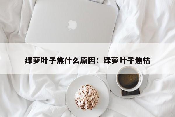 绿萝叶子焦什么原因：绿萝叶子焦枯