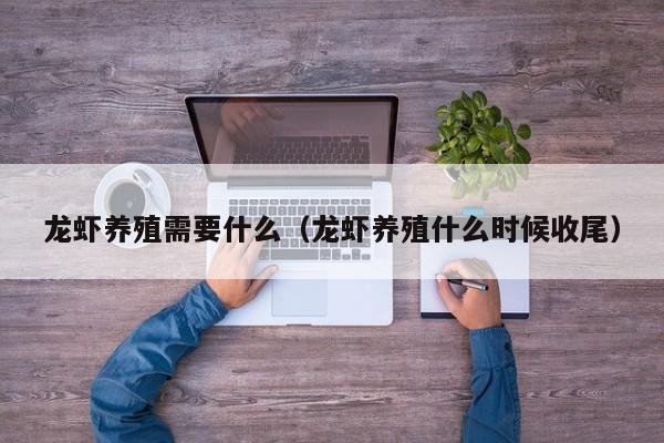 龙虾养殖需要什么（龙虾养殖什么时候收尾）