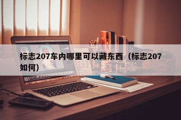 标志207车内哪里可以藏东西（标志207如何）