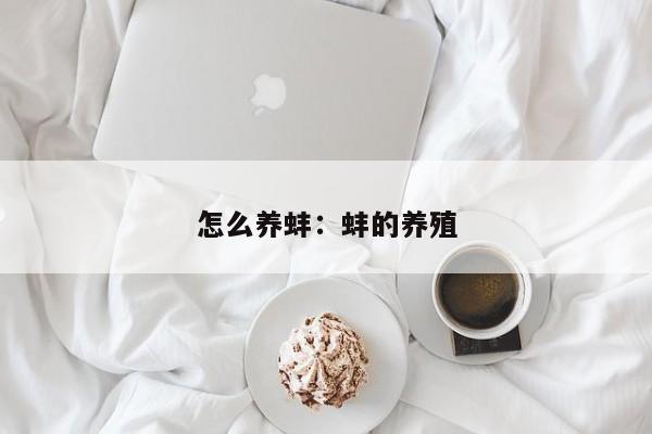 怎么养蚌：蚌的养殖