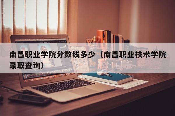 南昌职业学院分数线多少（南昌职业技术学院录取查询）