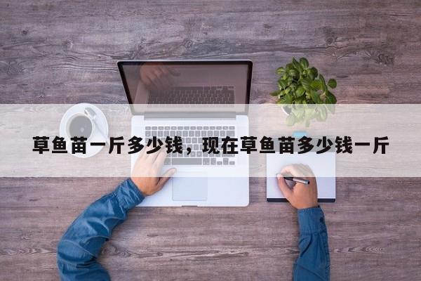 草鱼苗一斤多少钱，现在草鱼苗多少钱一斤