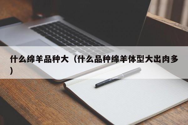 什么绵羊品种大（什么品种绵羊体型大出肉多）