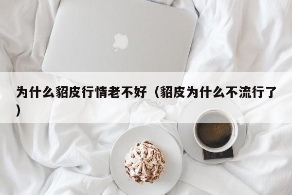 为什么貂皮行情老不好（貂皮为什么不流行了）