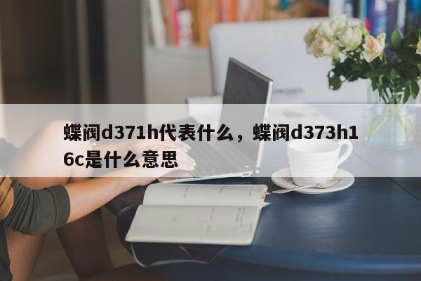 蝶阀d371h代表什么，蝶阀d373h16c是什么意思
