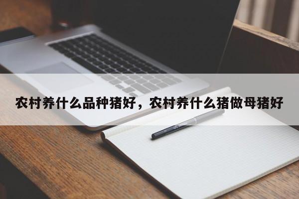 农村养什么品种猪好，农村养什么猪做母猪好